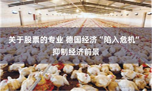 关于股票的专业 德国经济“陷入危机” 抑制经济前景