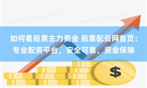 如何看股票主力资金 股票配资网首页：专业配资平台，安全可靠，资金保障